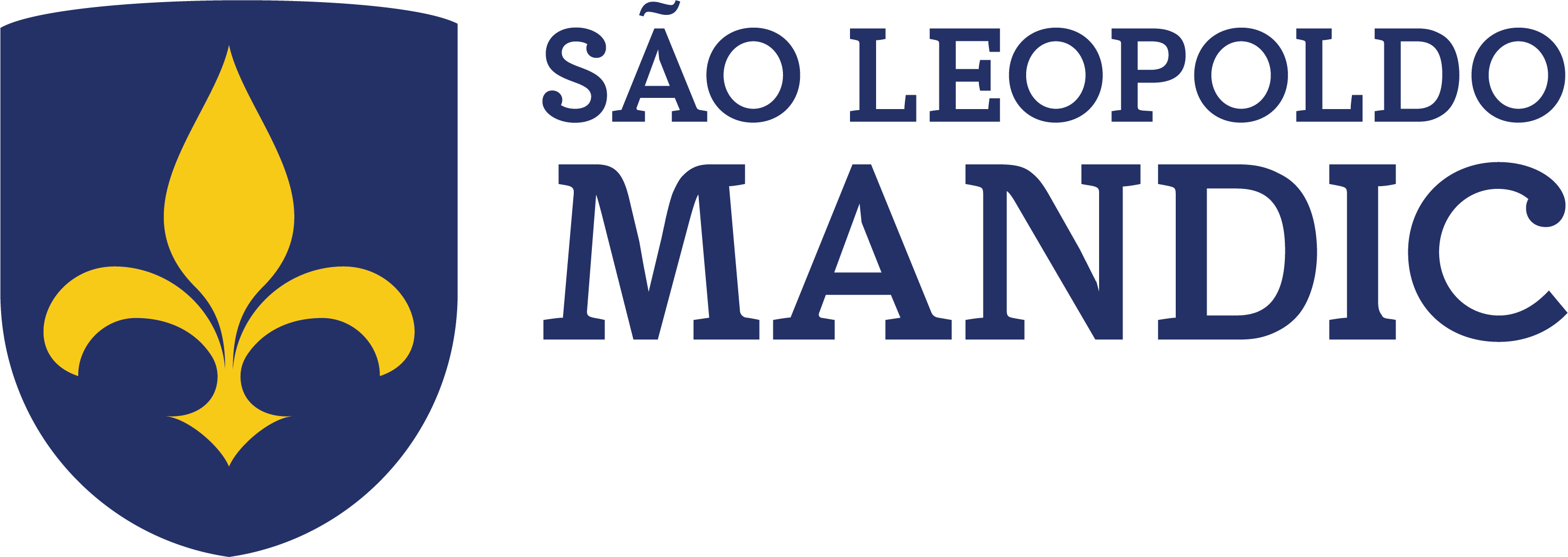 Logo Mandic